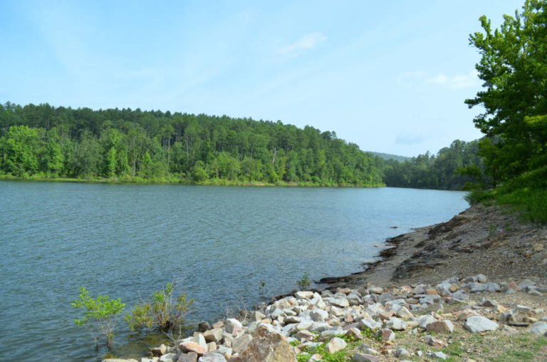 Little Fir Landing Lake Ouachita